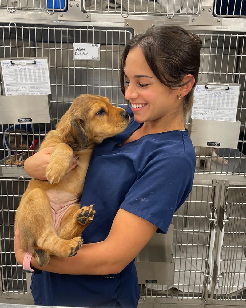 Veterinary Doctor with Dog